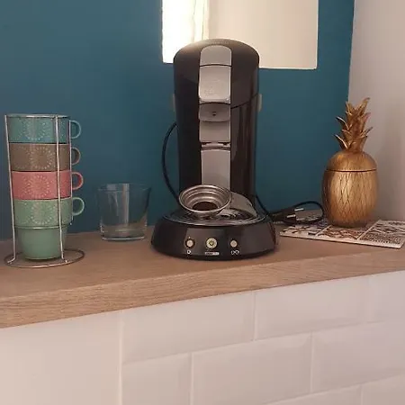 Appartement Studio Clim Wifi Centre Historique De Les Mimosas *