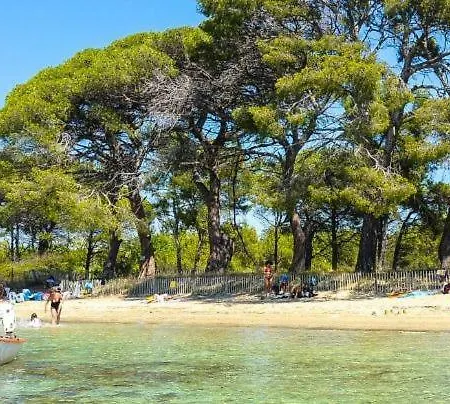 Studio Clim Wifi Centre Historique De Les Mimosas Appartamento *