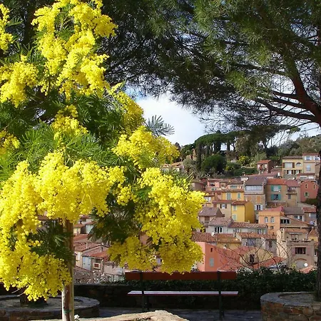 Διαμέρισμα Studio Clim Wifi Centre Historique De Les Mimosas *